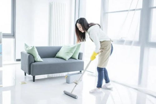 2026 年第一季度高性价比洗地机推荐 用户真实反馈调查总结