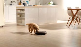 双十一扫地机器人选购指南 清洁服务升级，热门品牌深度解析