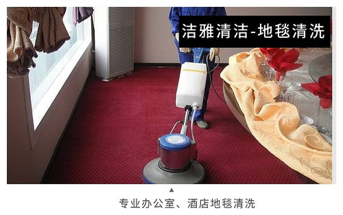 肇庆洁雅清洁 守护您家的每一寸空间，从厨房到外墙的深度清洁服务